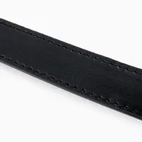 Ручка для сумки, с карабинами, 20 &plusmn; 1 см &times; 2.5 см, цвет чёрный/серебряный