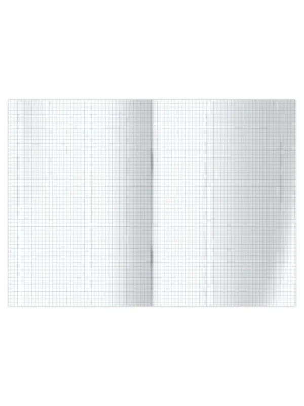 Книга учета А4, 144 листа, клетка, 200&times;290 мм, бумвинил, синий, блок офсетный