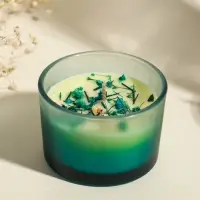 Свеча ароматическая в стакане "Aroma botanical" сухоцветы зелень, роза 7,5х7,5х5 см Свеча ароматическая в стакане "Aroma botanical" сухоцветы зелень, роза 7,5х7,5х5 см