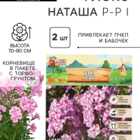 Флокс «Наташа» корневище в пакете с торфогрунтом, р-р I, 2 шт.