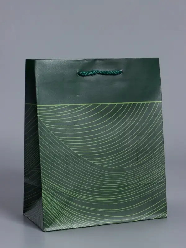 Пакет подарочный "Сдержанный шарм" ламинированный 18 х 22,3 х 10 см