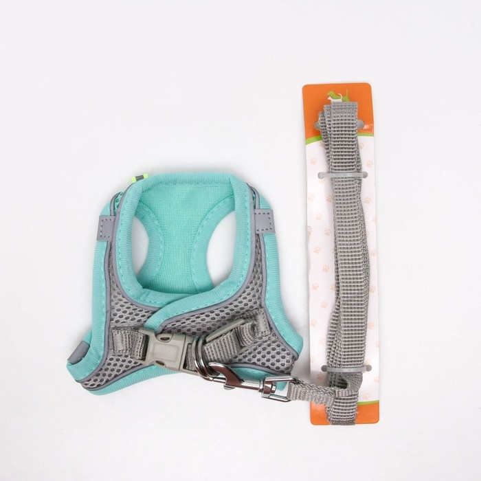 Комплект с мягкой шлейкой, быстросъемный, S, поводок 150 х 1,5 см, ОШ 33-36 см, ОГ 35-40 см, бирюз Комплект с мягкой шлейкой, быстросъемный, S, поводок 150 х 1,5 см, ОШ 33-36 см, ОГ 35-40 см, бирюз