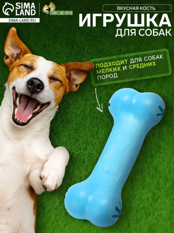 Жевательная игрушка для собак &laquo;Вкусная кость&raquo;, 11 см, с отверстиями для лакомств, TPR, голубая