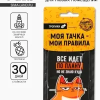 Ароматизатор в машину «Всё идёт по плану», тропики