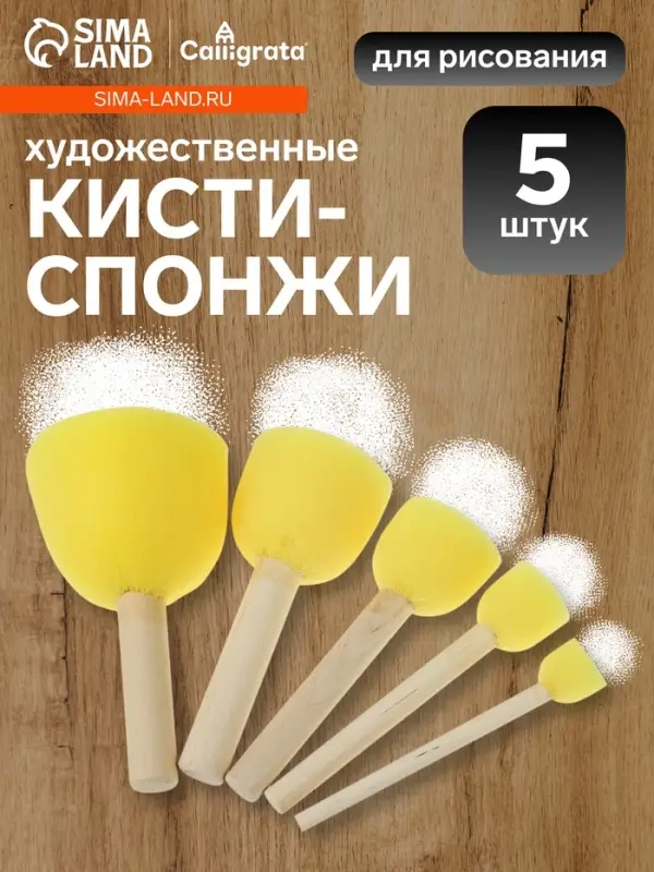 Набор кистей - спонжей, для рисования, 5 штук