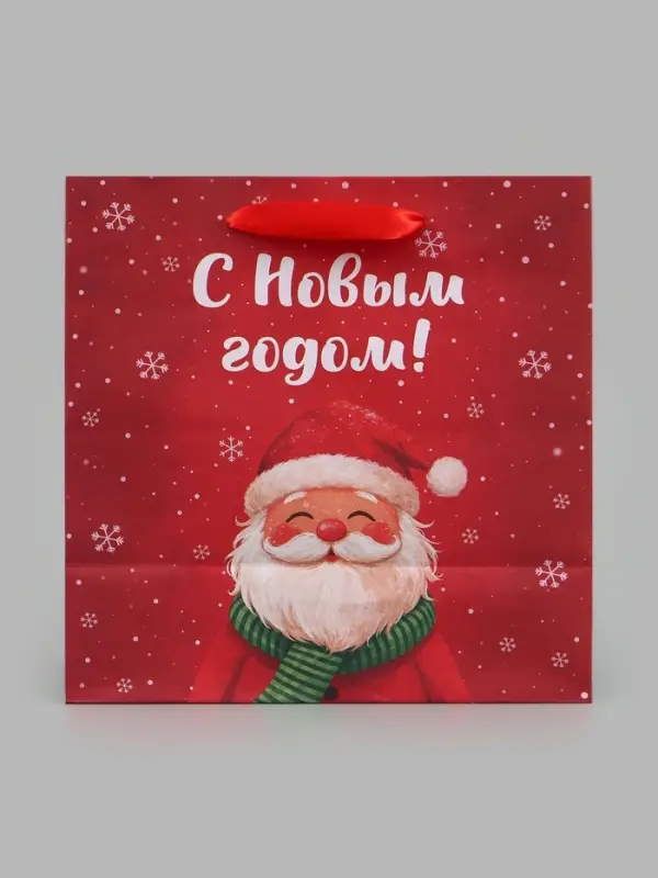 Пакет подарочный &laquo;С Новым годом&raquo;, Дед Мороз, 22&times;22&times;11 см