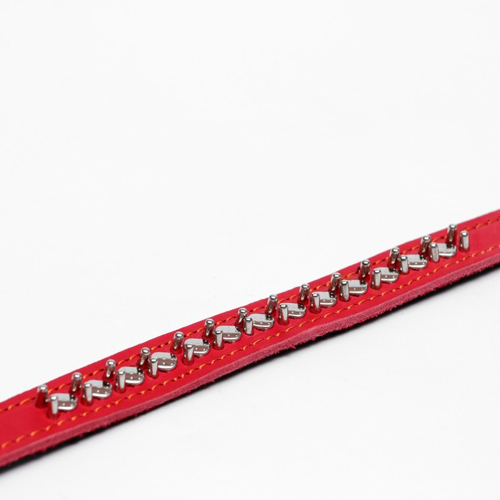 Ошейник кожаный на синтепоне Ошейник кожаный на синтепоне "Ёж", 56 х 2.5 см, ОШ 35-45 см, красный