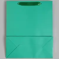 Пакет подарочный ламинированный &laquo;Зелёный&raquo;, 26&times;32&times;12 см