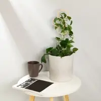 Шпалера, 40 × 15 см, дерево, «Соты», Greengo