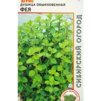 Семена Душица обыкновенная "Фея" 0,1 г Семена Душица обыкновенная "Фея" 0,1 г