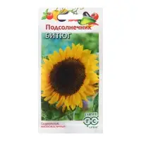 Семена Подсолнечник "Битюг", ц/п,  10 г