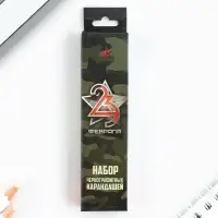 Карандаш простой чёрнографитный без ластика «Защитник»