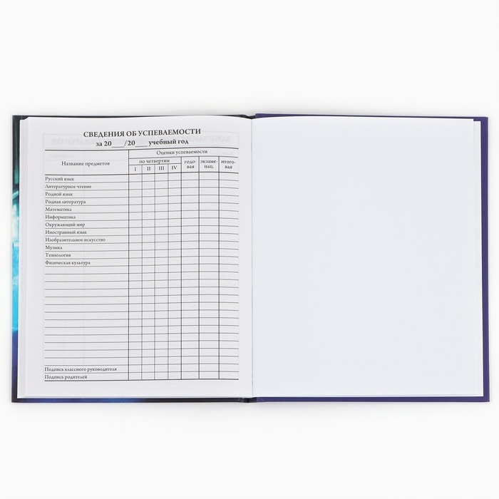 Дневник школьный для 1-4 класса, в твердой обложке, 48 л Street racing