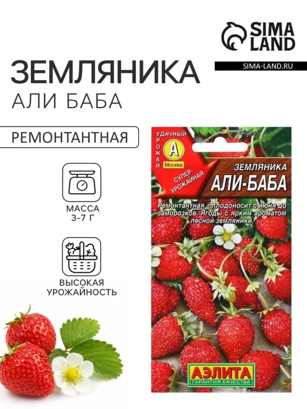 Семена Земляника &laquo;Али Баба&raquo;, ремонтантная, 0.04 г, &laquo;Аэлита&raquo;