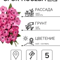 Семена цветов Петуния &laquo;Водопадия мраморная&raquo; F1, 5 шт., &laquo;АЭЛИТА&raquo;