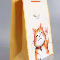 Пакет подарочный "Позитива и удачи" ламинированный 26 х 12 х 32 см