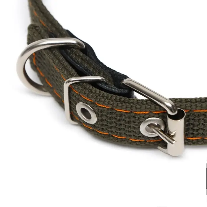 Ошейник брезентовый двухслойный, безразмерный, 50&times;2 см, ОШ 22-45 см