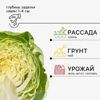 Семена Капуста &laquo;Вестри&raquo;, F1, 15 шт., &laquo;Агросс&raquo;