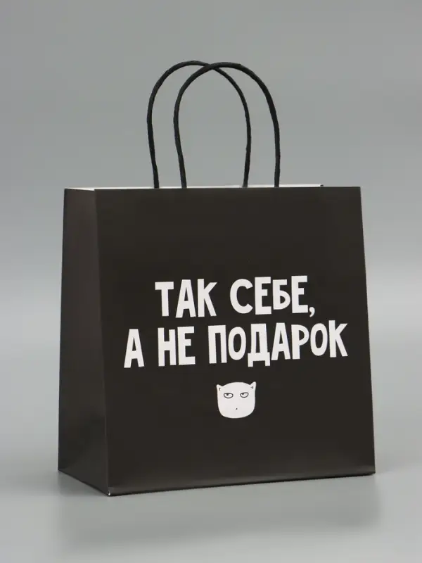 Пакет подарочный, упаковка, &laquo;Так себе, а не подарок&raquo;, 22&times;22&times;11 см