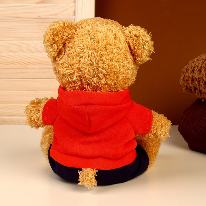 Мягкая игрушка «Мишка в кофточке», цвета МИКС