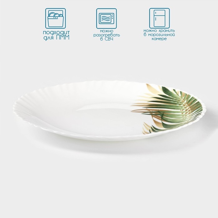 Тарелка обеденная Avvir «Юкка», d=23 см, стеклокерамика, цвет белый Тарелка обеденная Avvir «Юкка», d=23 см, стеклокерамика, цвет белый