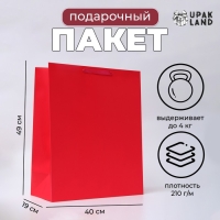 Пакет ламинированный вертикальный "Фуксия", XL 40 × 49 × 19 см