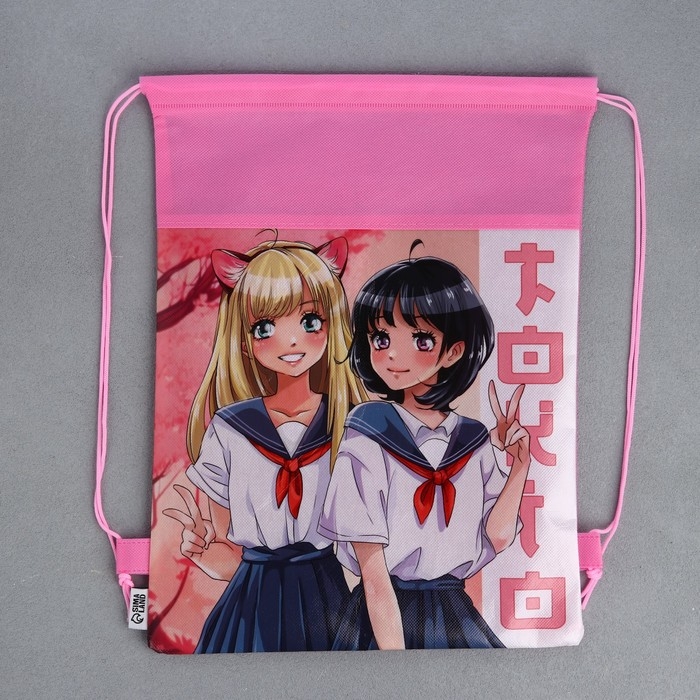 Мешок для обуви «Школьницы» полиэстер, размер 30 х 40 см Мешок для обуви «Школьницы» полиэстер, размер 30 х 40 см