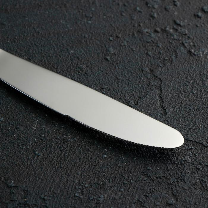 Набор столовый &laquo;Мондиал&raquo;, 24 предмета, толщина 2,5 мм, сувенирная коробка