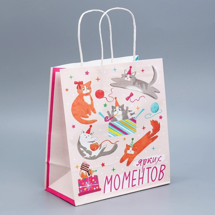 Пакет подарочный крафтовый, упаковка, «Вечеринка», 22 х 25 х 12 см