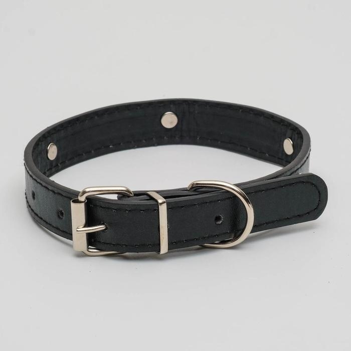 Ошейник  Ошейник "Собачки", 46 х 2 см,ОШ 31-40, искусственная кожа, чёрный