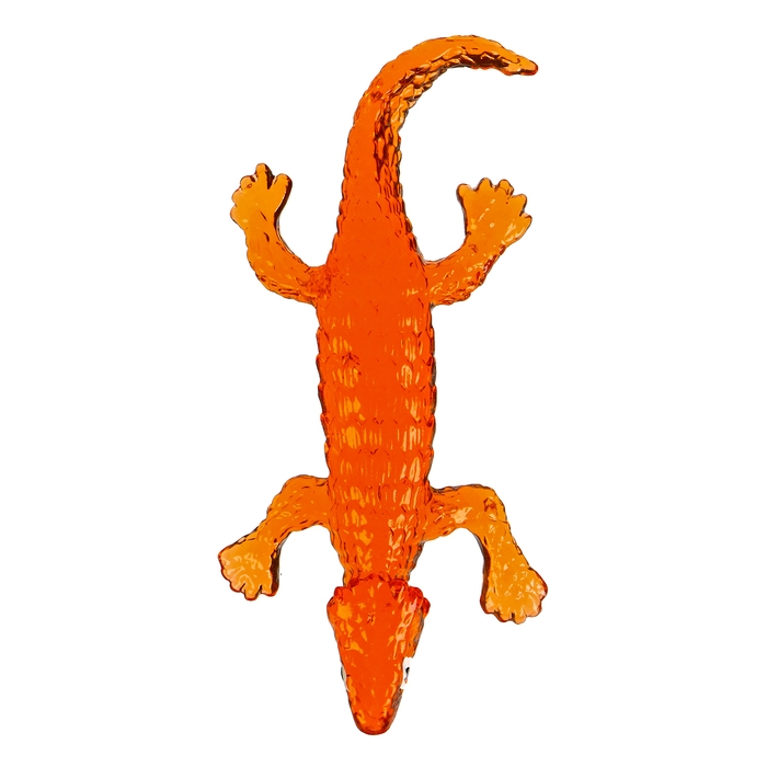 Липучка «Ящерки», цвета МИКС, на блистере Липучка «Ящерки», цвета МИКС, на блистере