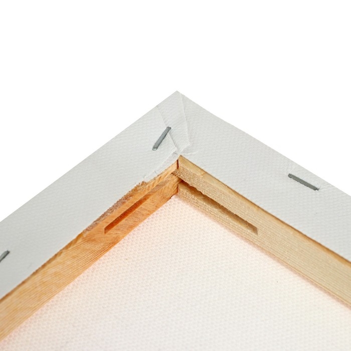 Холст на подрамнике, хлопок 100%, 1,6 х 40 х 50 см, акриловый грунт, среднезернистый, 380 г/м² Холст на подрамнике, хлопок 100%, 1,6 х 40 х 50 см, акриловый грунт, среднезернистый, 380 г/м²