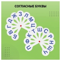 Набор веер-касс, гласные, согласные и цифры, Стамм, 3 штуки, плотные, пакет с европодвесом