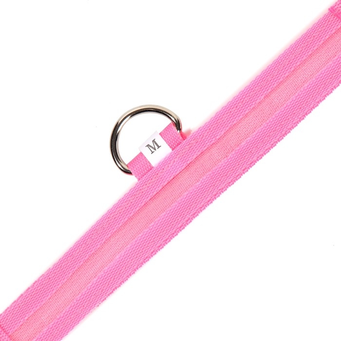 Ошейник с подсветкой размер М, ОШ 40-48 х 2,5 см, 3 режима свечения розовый Ошейник с подсветкой размер М, ОШ 40-48 х 2,5 см, 3 режима свечения розовый