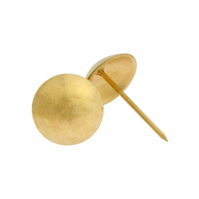 Гвозди ТУНДРА, декоративные, обивочные, 25х39 мм, золото, 100 шт Гвозди ТУНДРА, декоративные, обивочные, 25х39 мм, золото, 100 шт