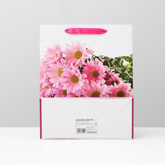 Пакет ламинированный, 26 x 32 x 12 см Пакет ламинированный, 26 x 32 x 12 см