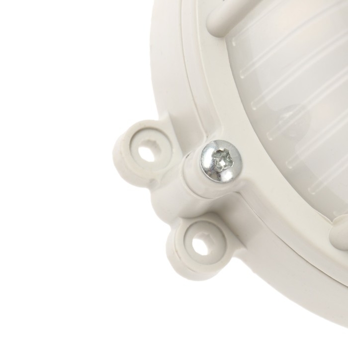 Светильник ЖКХ светодиодный, 6 Вт, IP54, 6500К, 220В, овал, пластик, белый Светильник ЖКХ светодиодный, 6 Вт, IP54, 6500К, 220В, овал, пластик, белый