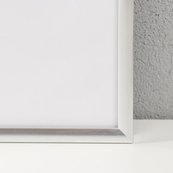 Фоторамка пластик Lida 50х70 см серебро (пластиковый экран) Фоторамка пластик Lida 50х70 см серебро (пластиковый экран)