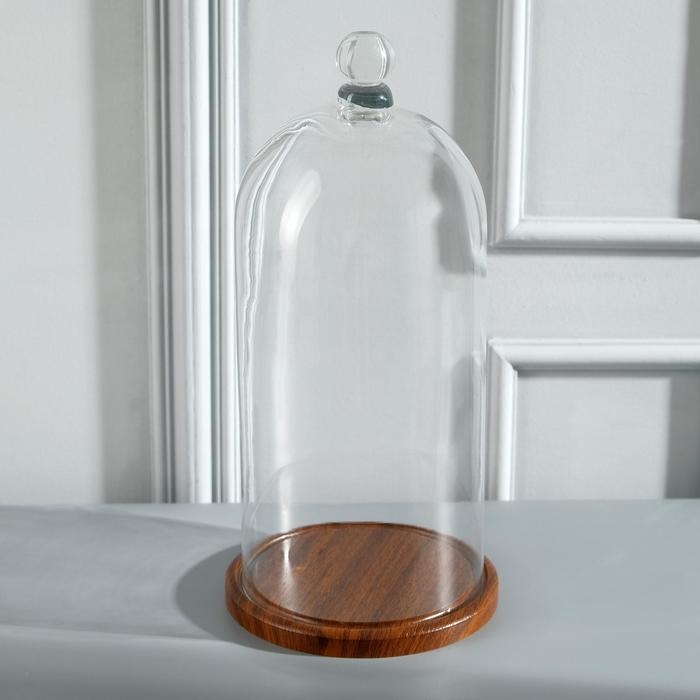 Стеклянный купол-клош с шариком на подставке Стеклянный купол-клош с шариком на подставке "Родрик", 34х15 см, стекло, коричневый