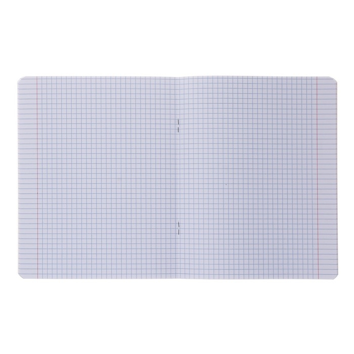 Тетрадь 48 листов в клетку Тетрадь 48 листов в клетку "Naruto", обложка мелованный картон, выборочный УФ-лак, конгрев, блок 65 г/м2, МИКС