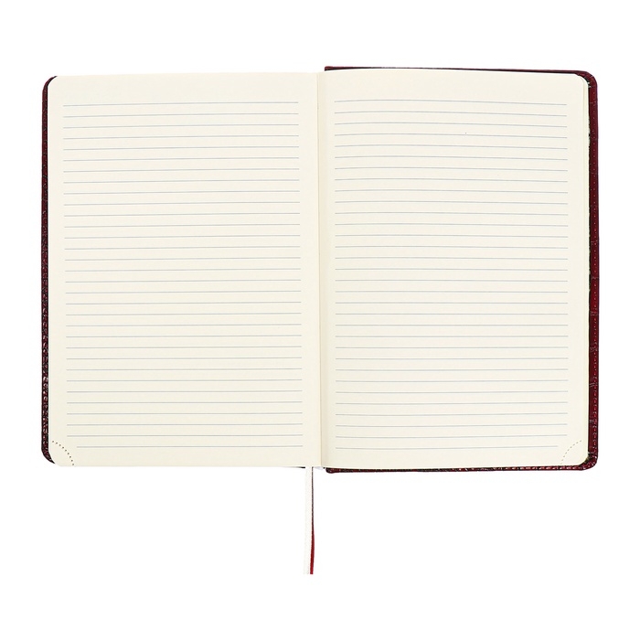 Ежедневник датированный 2024 A5 176 листов, deVENTE.Belcanto, твёрдая обложка из искусственной кожи с поролоном, ляссе, кремовый блок 70 г/м2, бордовый