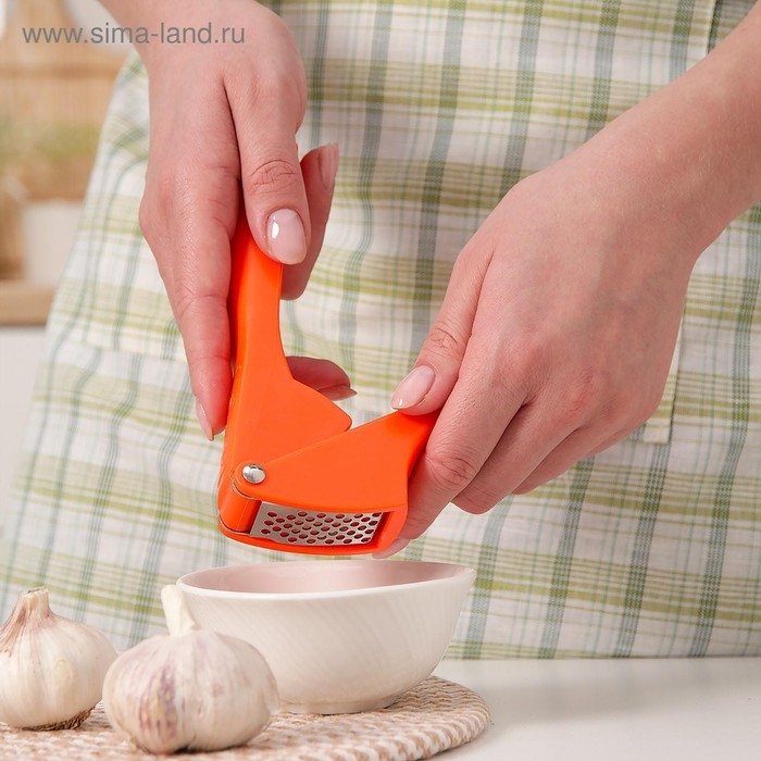 Пресс для чеснока Доляна «Уточка», 16 см, цвет МИКС Пресс для чеснока Доляна «Уточка», 16 см, цвет МИКС
