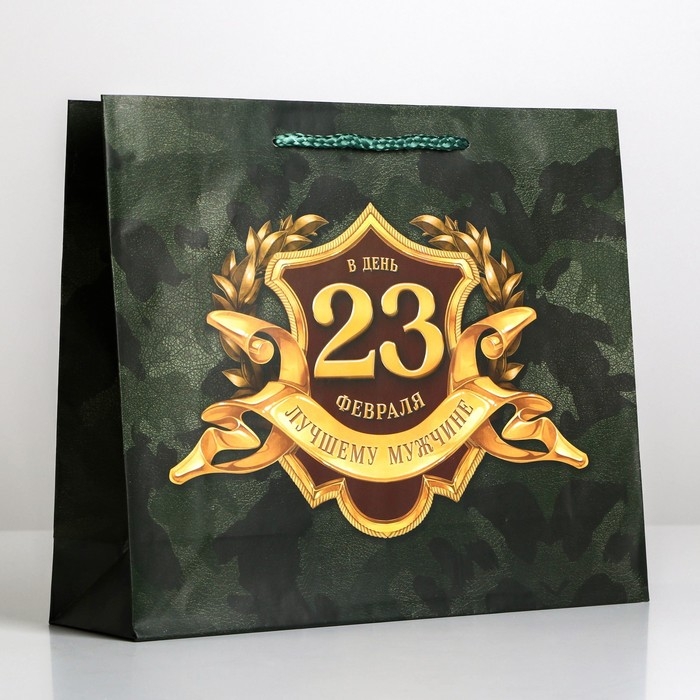 Пакет подарочный ламинированный горизонтальный, упаковка, «С 23 февраля», ML 25х 21 х 8 см Пакет подарочный ламинированный горизонтальный, упаковка, «С 23 февраля», ML 25х 21 х 8 см