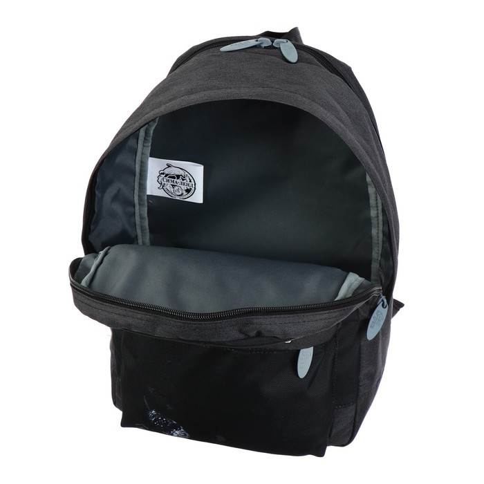 Рюкзак молодёжный, 38 х 28 х 19 см, эргономичная спинка, Calligrata Э Рюкзак молодёжный, 38 х 28 х 19 см, эргономичная спинка, Calligrata Э "Листья", чёрный