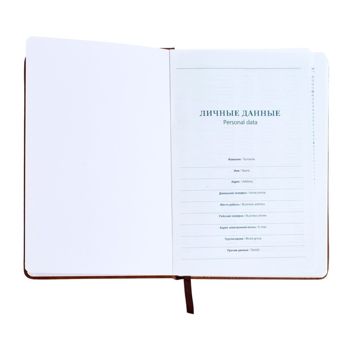 Ежедневник недатированный А5, 140 листов, в клетку, обложка кожзам, с карманом, МИКС Ежедневник недатированный А5, 140 листов, в клетку, обложка кожзам, с карманом, МИКС