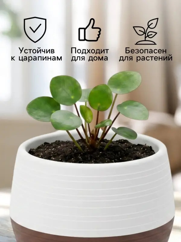 Горшок цветочный &laquo;Япония&raquo;, 1.2 л, d=16 см, h=14 см, пластиковый, бело-коричневый