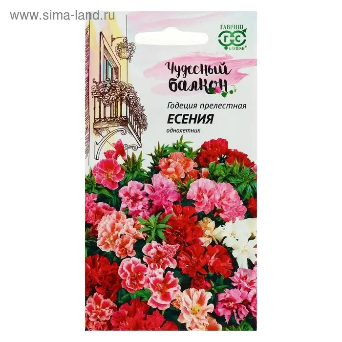Семена цветов Годеция  Семена цветов Годеция "Есения", ц/п,  низкая, смесь, серия Чудесный балкон,  0,05 г