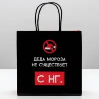 Пакет подарочный новогодний &laquo;Деда мороза не существует&raquo;, 22&times;22&times;11 см