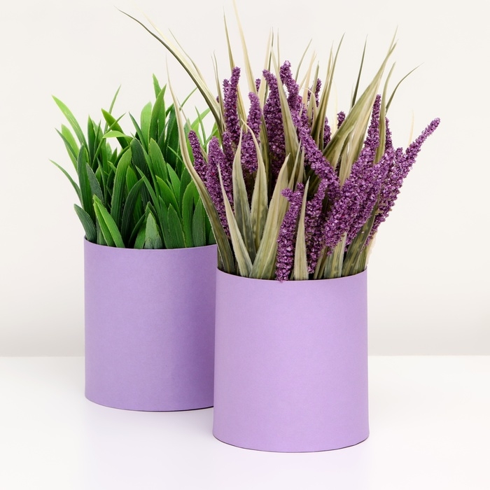 Набор круглых коробок 2в1 , Набор круглых коробок 2в1 ,"Сиреневый", без крышки, 10 х 10 х 10,5 см