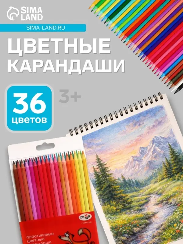 Карандаши цветные пластиковые 36 цветов &laquo;Гамма. Мультики&raquo;, заточенные, ПВХ, европодвес (251220214)